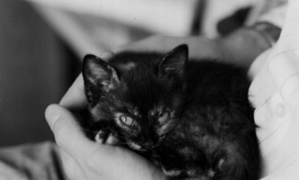 wysi when she first arrived