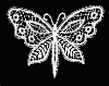 butterfly 1